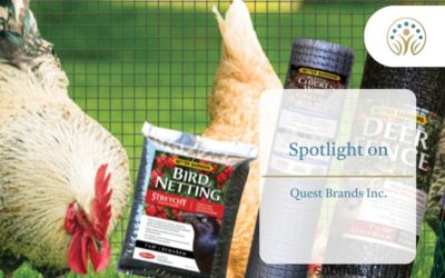 Spotlight on Quest Brands Inc.